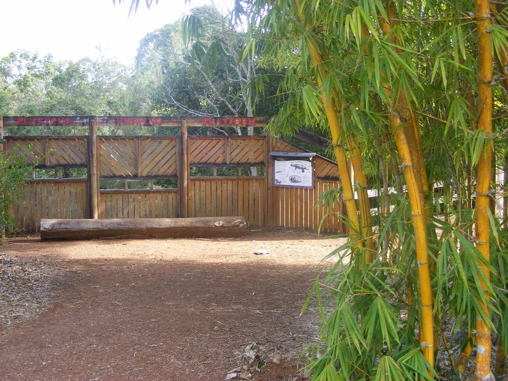 查姆胡观光园和小屋 Lake Eacham 外观 照片