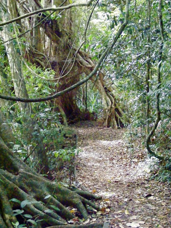 查姆胡观光园和小屋 Lake Eacham 外观 照片