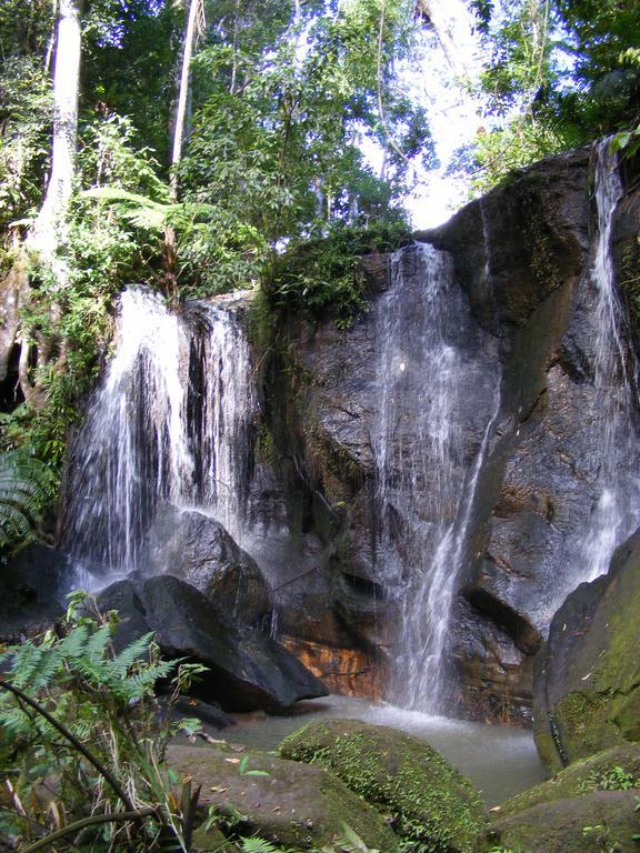 查姆胡观光园和小屋 Lake Eacham 外观 照片
