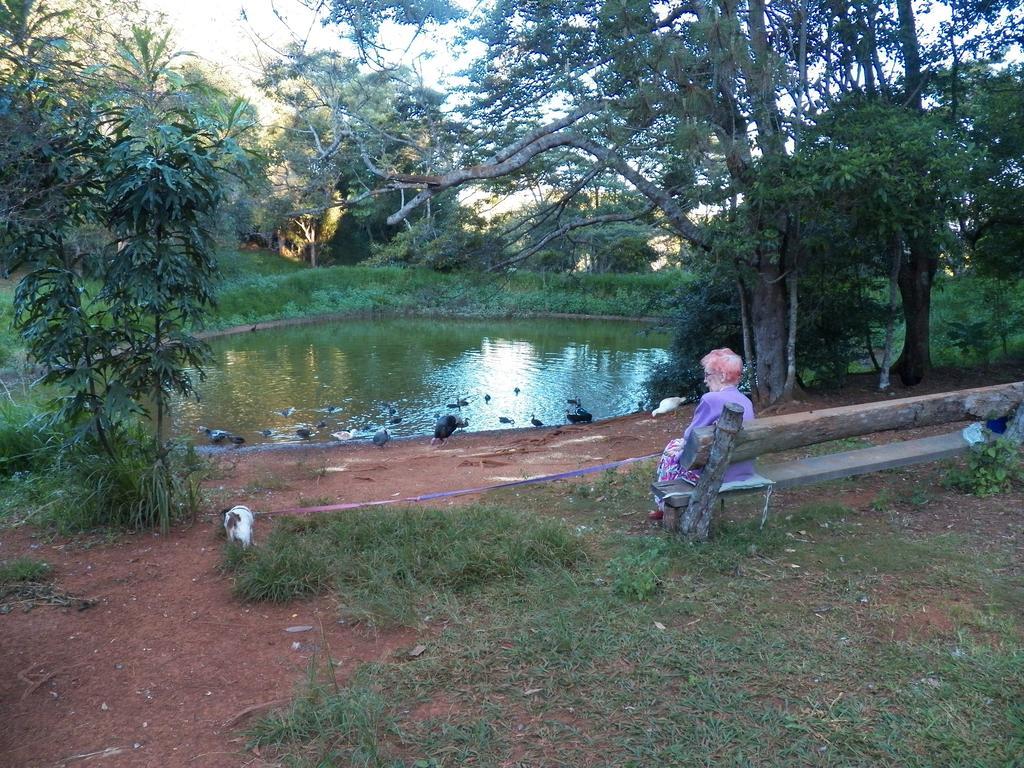 查姆胡观光园和小屋 Lake Eacham 外观 照片