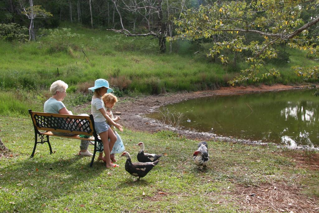 查姆胡观光园和小屋 Lake Eacham 外观 照片