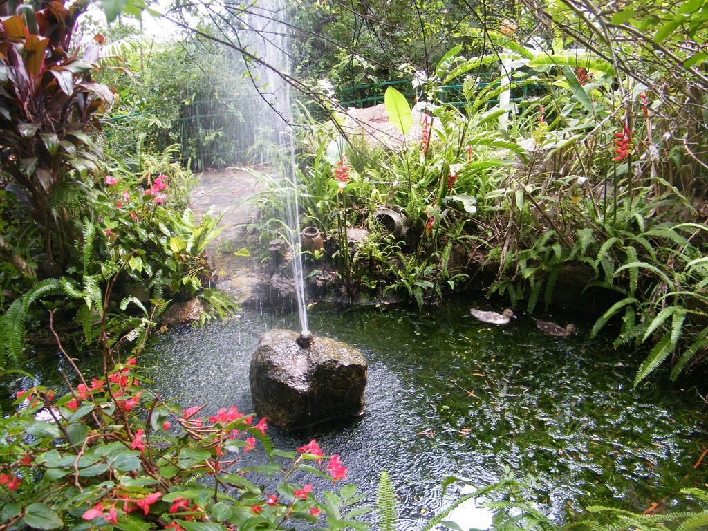 查姆胡观光园和小屋 Lake Eacham 外观 照片