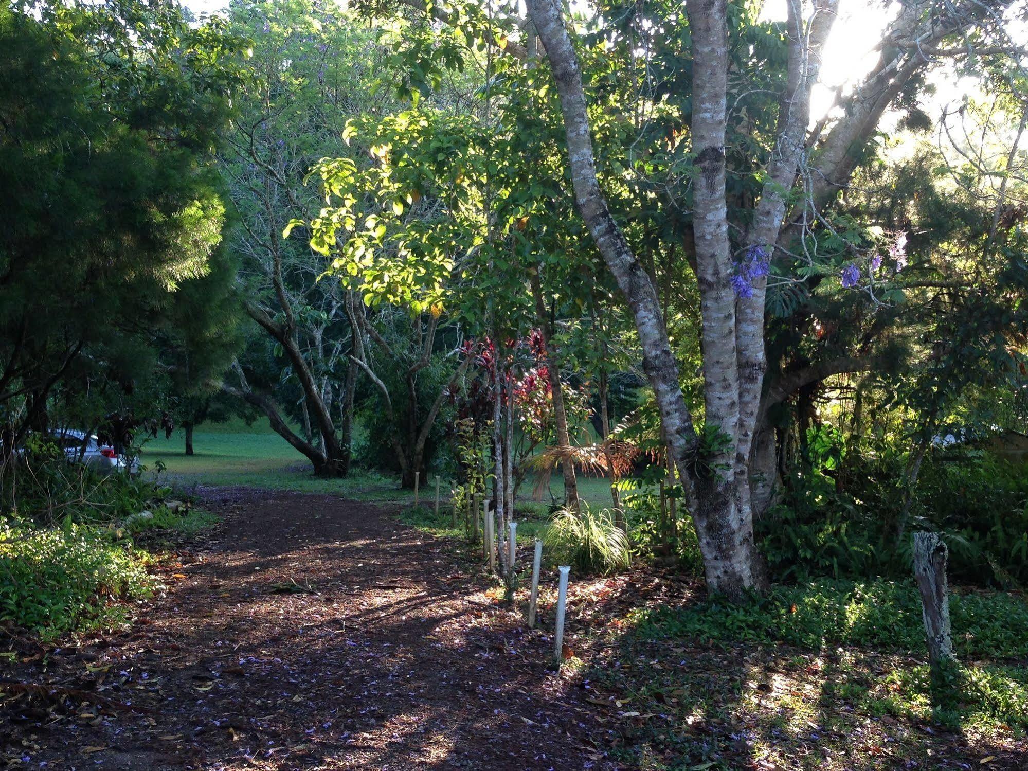 查姆胡观光园和小屋 Lake Eacham 外观 照片