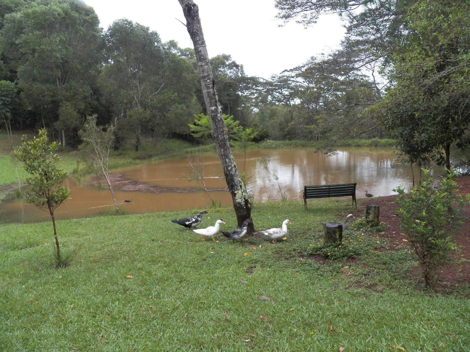 查姆胡观光园和小屋 Lake Eacham 外观 照片